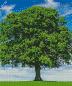 Aesthetic Single Tree Diamond Diamond Paintings