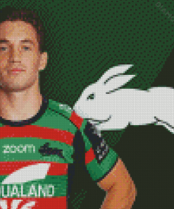 Aesthetic South Sydney Rabbitohs Diamond Paintings