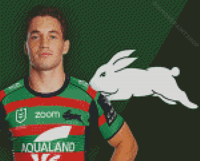 Aesthetic South Sydney Rabbitohs Diamond Paintings