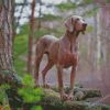 Aesthetic Weimaraner Dog Diamond Paintings