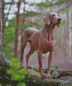 Aesthetic Weimaraner Dog Diamond Paintings