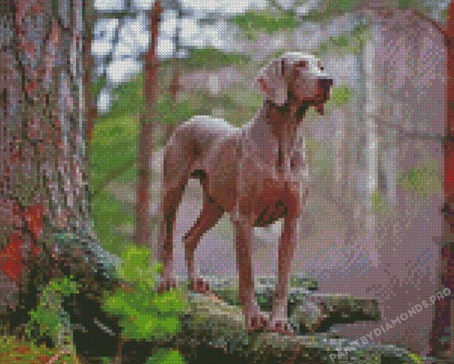 Aesthetic Weimaraner Dog Diamond Paintings