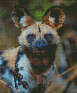 African Hunting Dog Animal Diamond Paintings