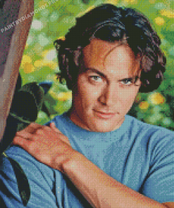 American Actor Brandon Lee Diamond Paintings