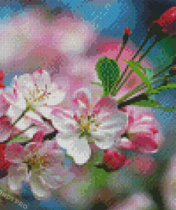 Apple Blossoms Flowers Diamond Paintings