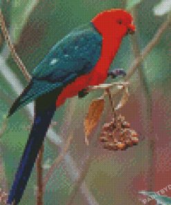 Australian King Parrot Bird Diamond Paintings