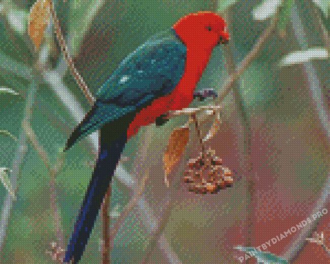 Australian King Parrot Bird Diamond Paintings