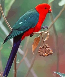 Australian King Parrot Bird Diamond Paintings