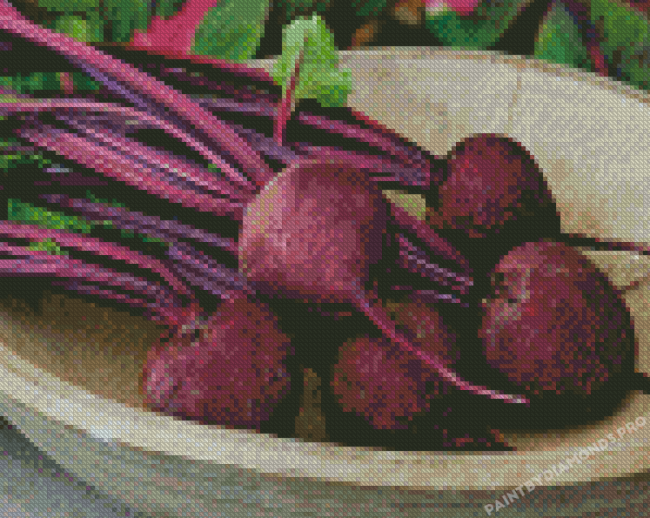 Beet Plant Diamond Painting