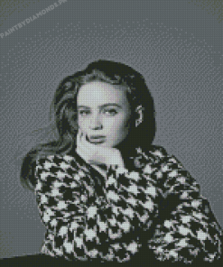 Black And White Sadie Sink Diamond Painting