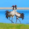 Black Necked Cranes Diamond Paintings