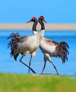 Black Necked Cranes Diamond Paintings