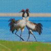 Black Necked Cranes Diamond Paintings