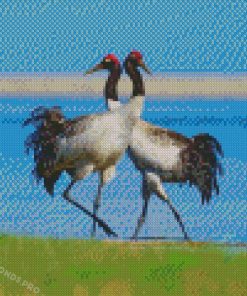 Black Necked Cranes Diamond Paintings