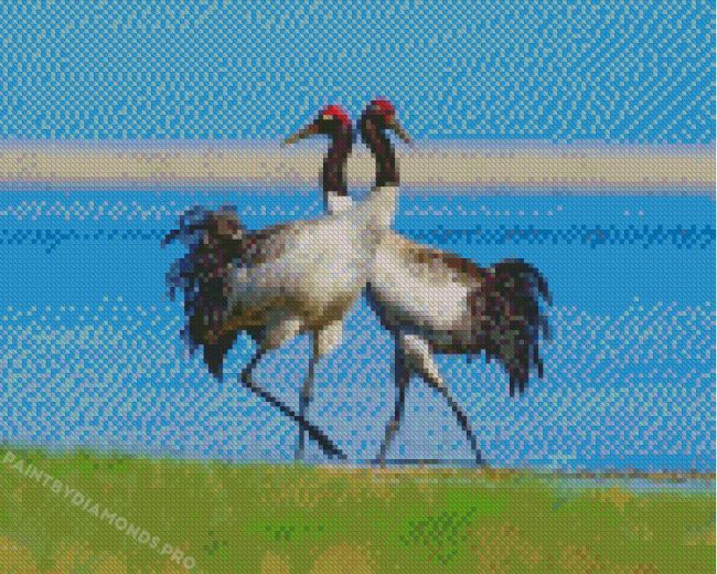 Black Necked Cranes Diamond Paintings