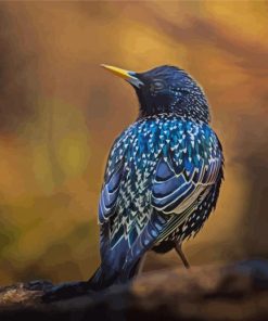 Blue Starling Diamond Paintings