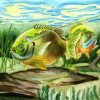 Blue Gill Fish Diamond Painting