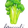 Broccoli Diamond Paintings