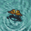 Butterfly On Water Diamond Paintings