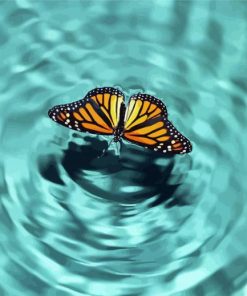 Butterfly On Water Diamond Paintings