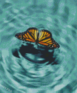 Butterfly On Water Diamond Paintings