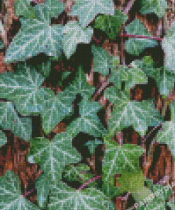 Climbing Ivy Plant Diamond Painting