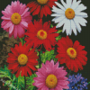 Colorful Daisies Flowers Diamond Paintings