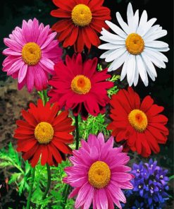 Colorful Daisies Flowers Diamond Paintings