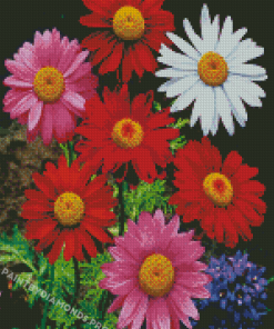 Colorful Daisies Flowers Diamond Paintings