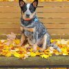 Dog On Autumn Bench Diamond Paintings