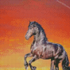 Friesian Diamond Painting