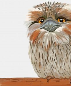 Frogmouth Diamond Paintings