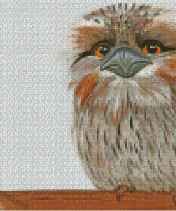 Frogmouth Diamond Paintings