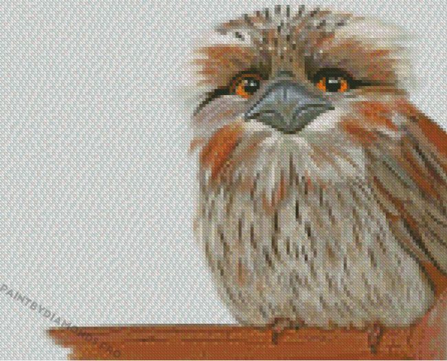 Frogmouth Diamond Paintings