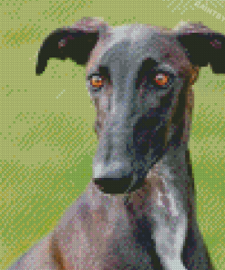 Galgos Diamond Paintings