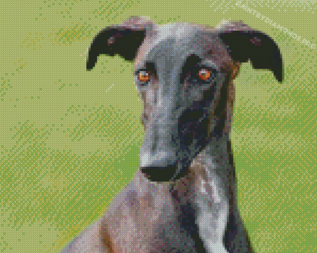 Galgos Diamond Paintings