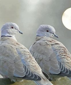 Gray Doves Diamond Paintings