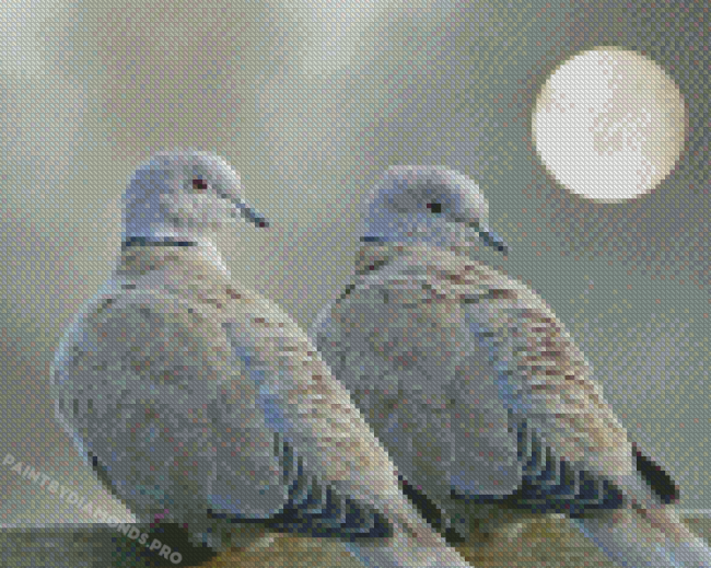 Gray Doves Diamond Paintings