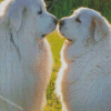 Great Pyrenees Dogs Lovers Diamond Paintings