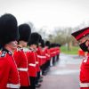 Grenadier Guard Diamond Paintings