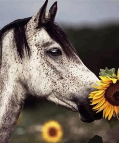 Horse With Sunflowers Diamond Paintings