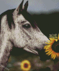 Horse With Sunflowers Diamond Paintings