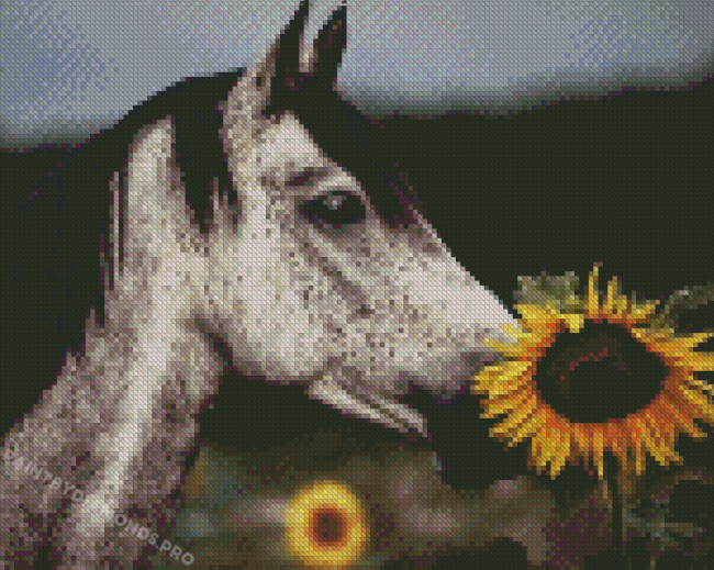 Horse With Sunflowers Diamond Paintings