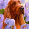 Irish Setter Art Diamond Painting