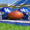 Kentucky Wildcats Football Helmets Diamond Paintings