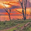 Kenya Lake Nakuru At Sunset Diamond Paintings