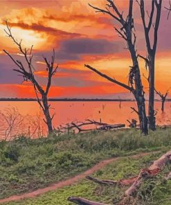 Kenya Lake Nakuru At Sunset Diamond Paintings