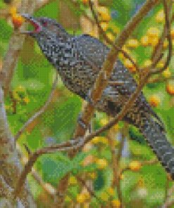 Koel Bird Diamond Paintings