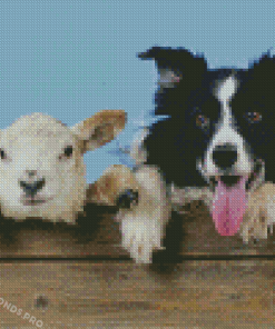 Little Sheep And Dog Diamond Paintings