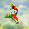 Lorikeets Birds Diamond Painting